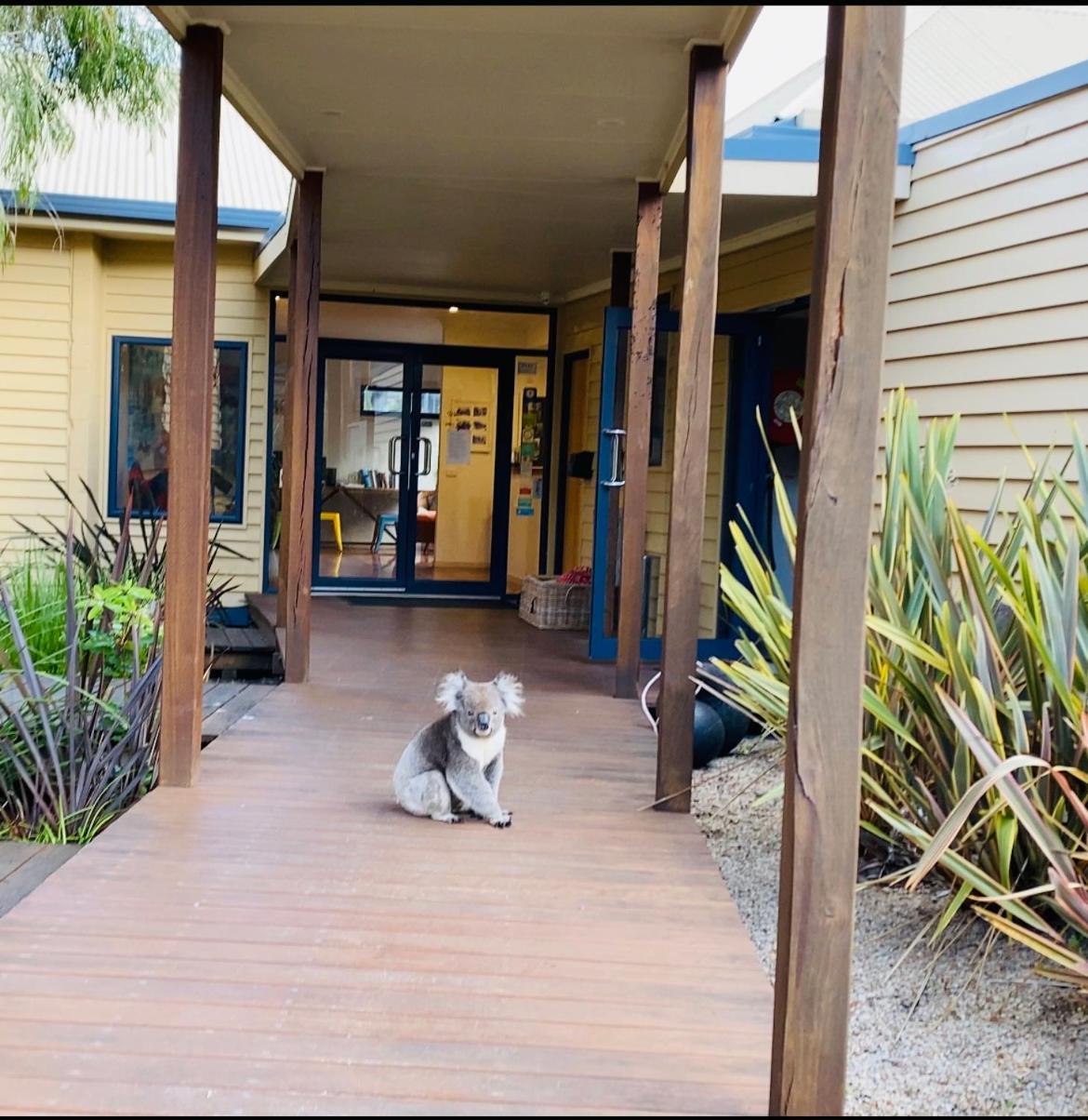 Sandpiper Motel Apollo Bay Exterior photo